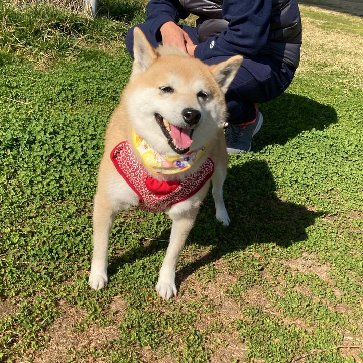 045b0a03 7636 4bbd 8111 e8e83c4836bf 1613309684841