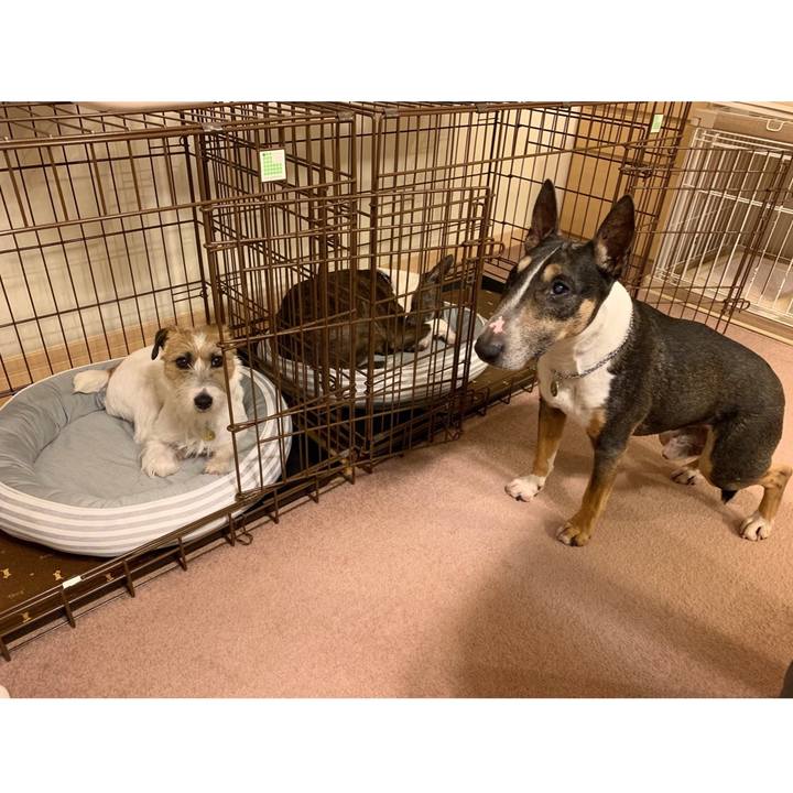 045b3802 28bb 4bff 9d4e 9ad9e9bc38a0 1590752503902