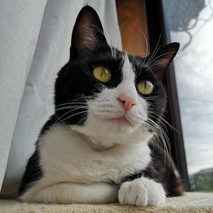 045b848f 289f 407c 9b11 0ba2c4019296 1661397506211