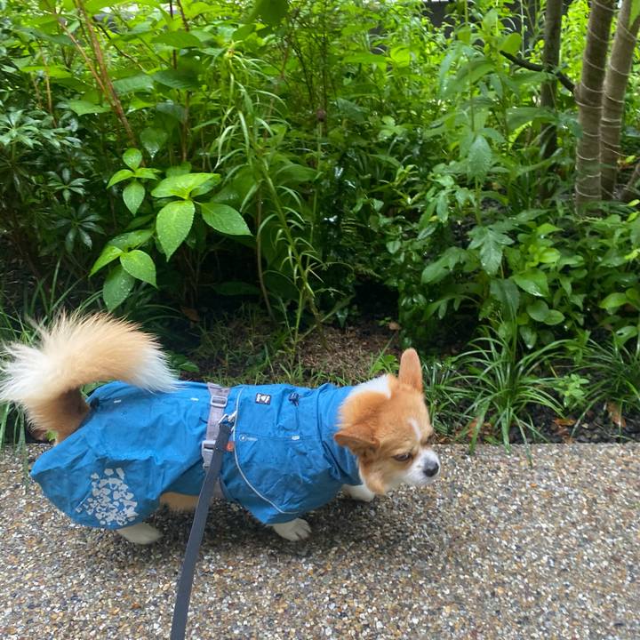 045b872d 14f8 4e3f 920c 836786ec1268 1748914820442