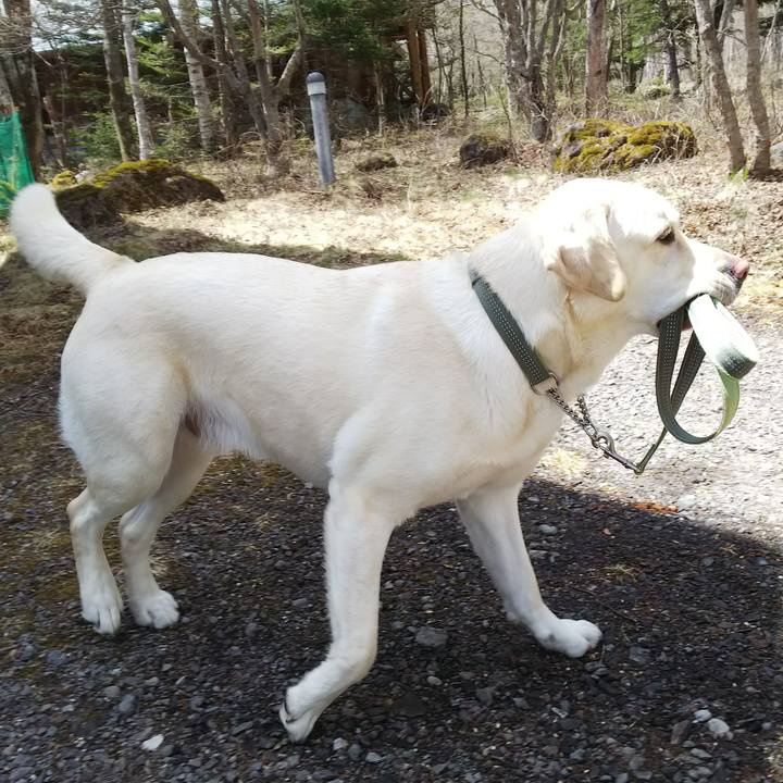 045b8cde 5257 464a 8a74 ac0480c8d613 1525176968864