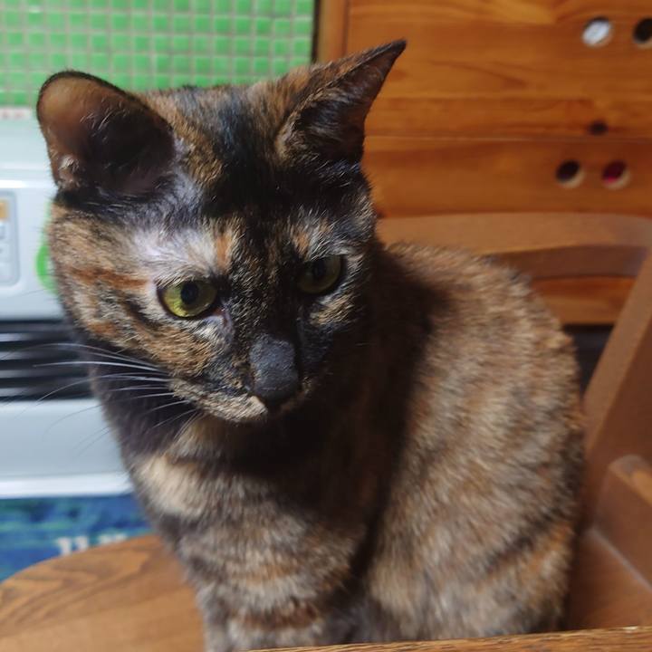 045bf267 73da 4f72 b06b 54d217dd33fa 1700217266852