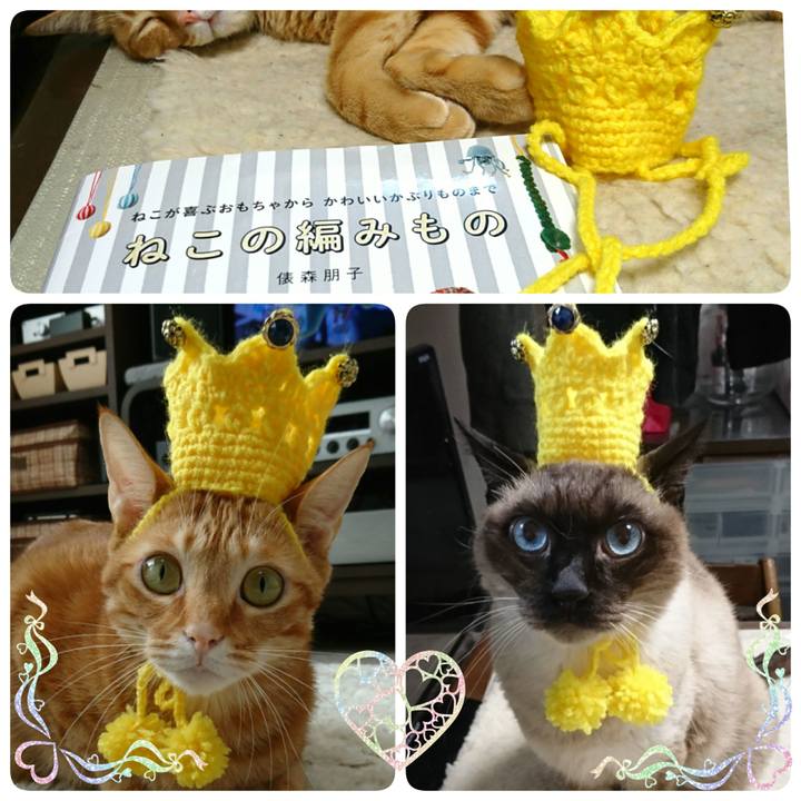 045c202a 9bc3 480b 8ed1 4d1107f40627 1546599629309