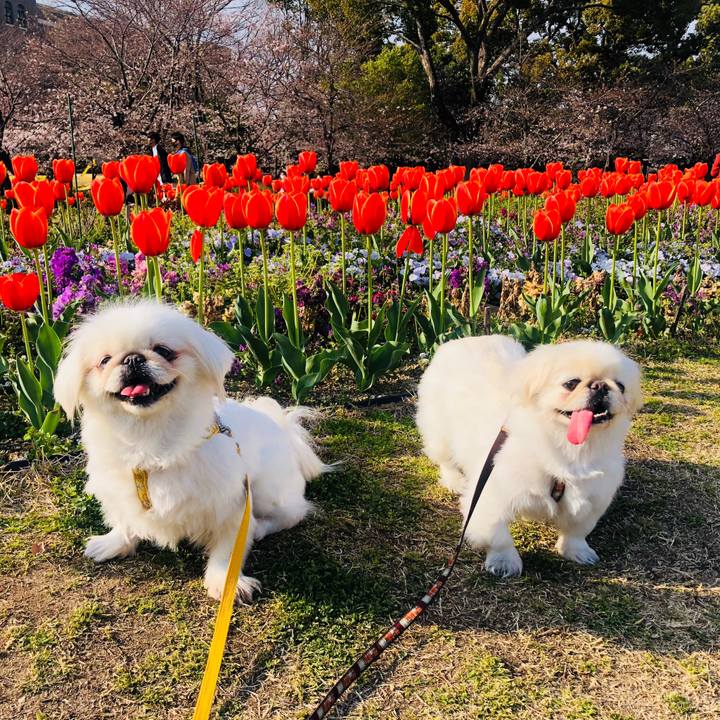 045c26f2 20f3 4558 876f e614dd01ff8a 1616850957102