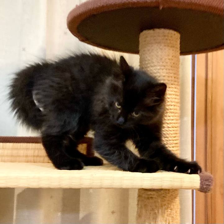 045c685e f8e5 4107 a5de 21d143bae346 1699767093805