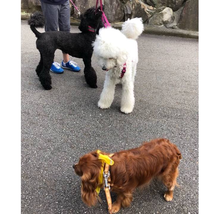 045c990b be2f 4dc6 a081 cedf0058d7b9 1624148566747