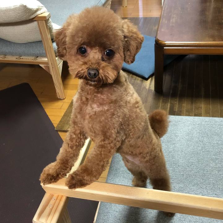 045c9e4c 2853 4671 bce8 0051547a845a 1574492286587