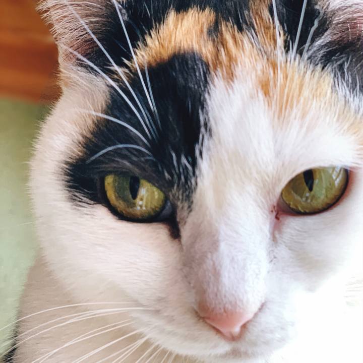 045ca756 0152 4ca6 9eea d905606161cc 1555723954753