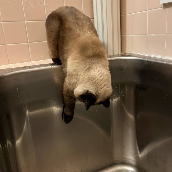 045cb5db 52f2 4d45 997a 0325091a35cb 1651755975968