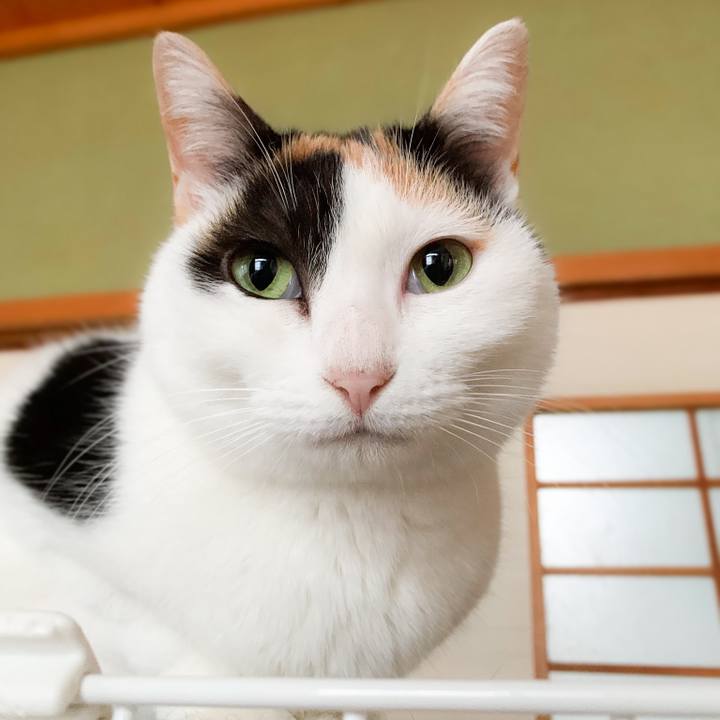 045cbc0b dbdf 4cf8 a91a 03d662806650 1580175586740