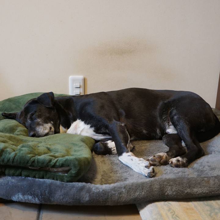 045cc910 c756 45ec 87cb 2440e7f18a12 1768999959480