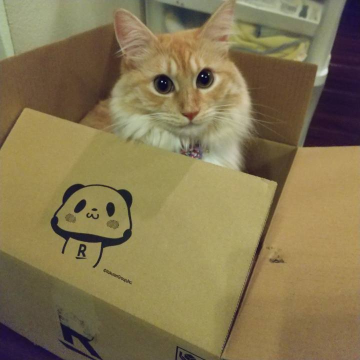 045cf705 ea93 4520 90af fafb5cd5f027 1630234241505