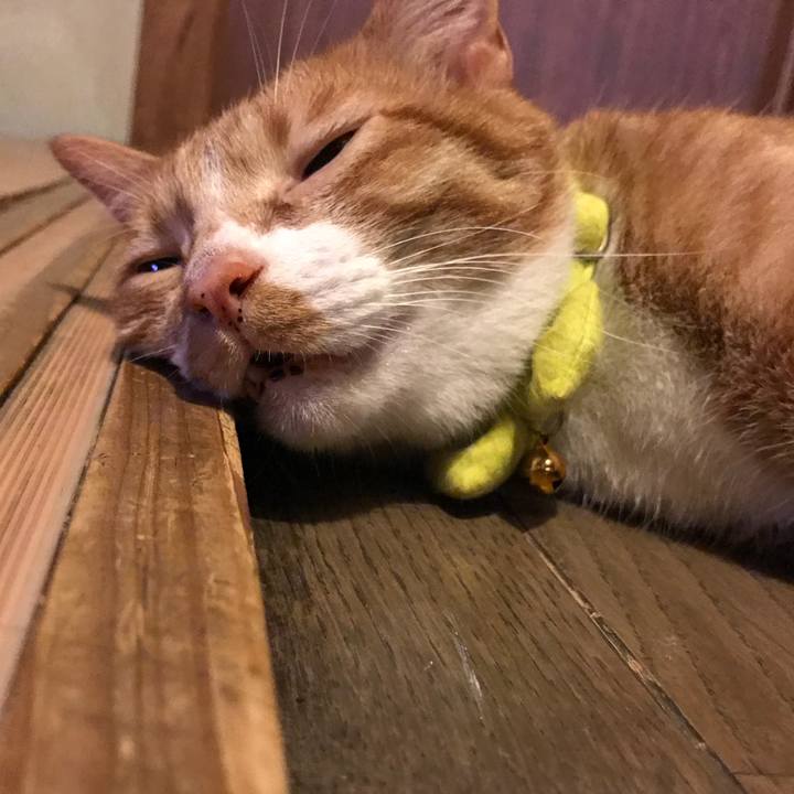 045d3737 5d46 43b3 84eb 74bf9f137b80 1531925239649