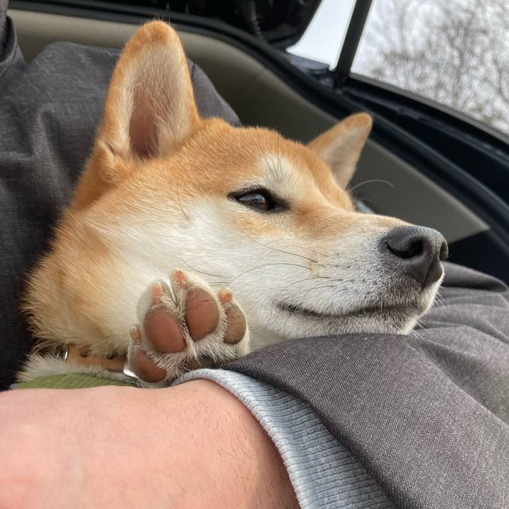 045d432c 6fbe 4a46 b7f6 3d1a52dccb97 1643591886585