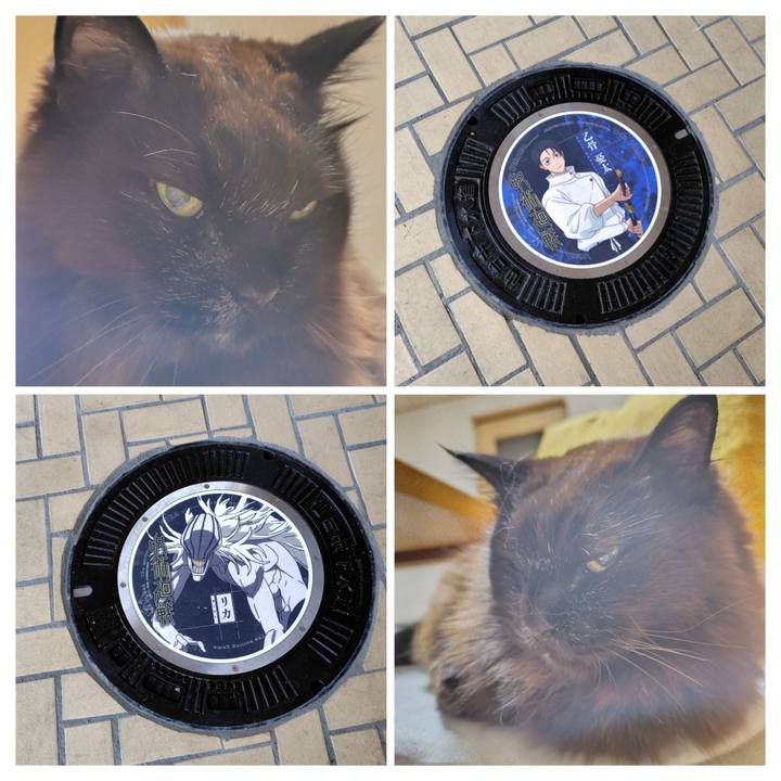 045d4f66 c9c2 454a 9e52 58d4f7da8450 1774617810361