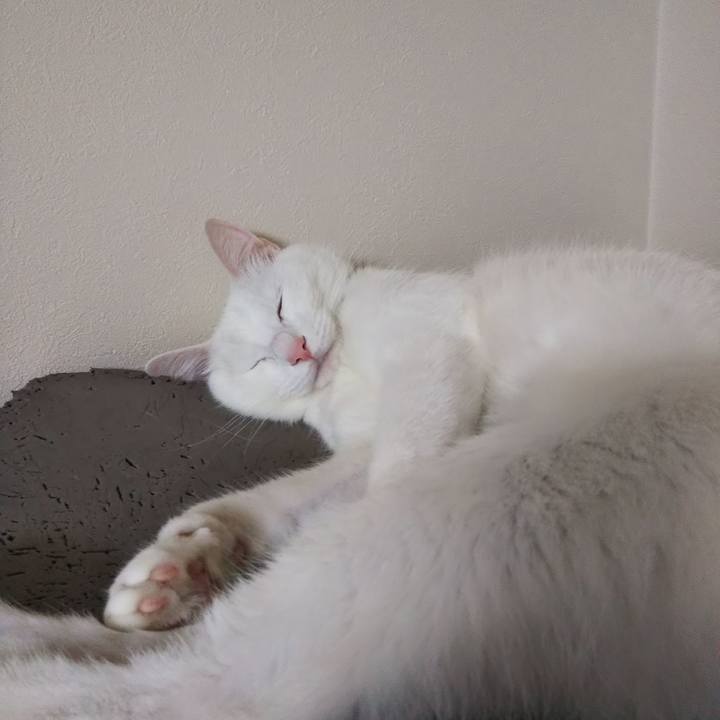 045ddeb7 6e06 43cc 99e1 ae37bdf4db3a 1627850686383