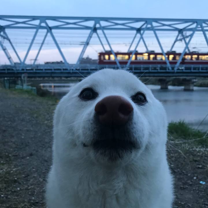 045dfa52 81d3 4fe6 996e eaf46265c57c 1522573688772