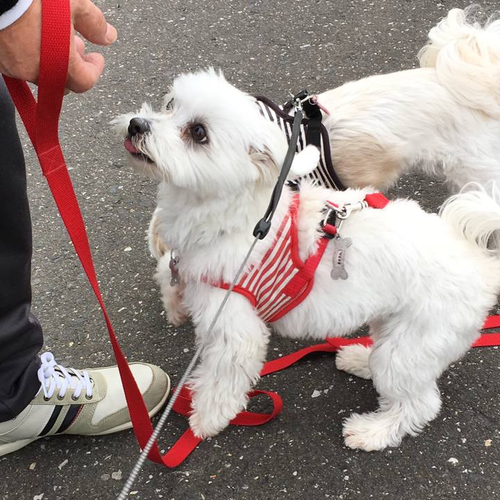 045e2170 28b6 4774 81bf 022265346216 1555828450409