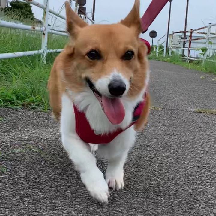 045e52af 359c 4104 8fa3 1a4e8bcc3124 1661210598940