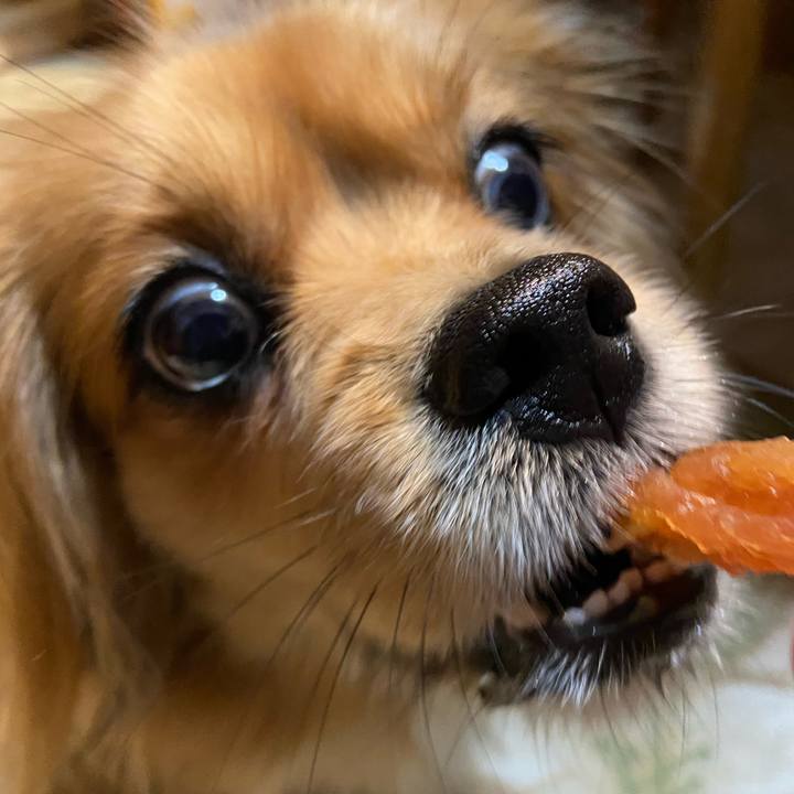 045e5f72 8536 4296 a6b1 f1ee7e2ced26 1581716747272