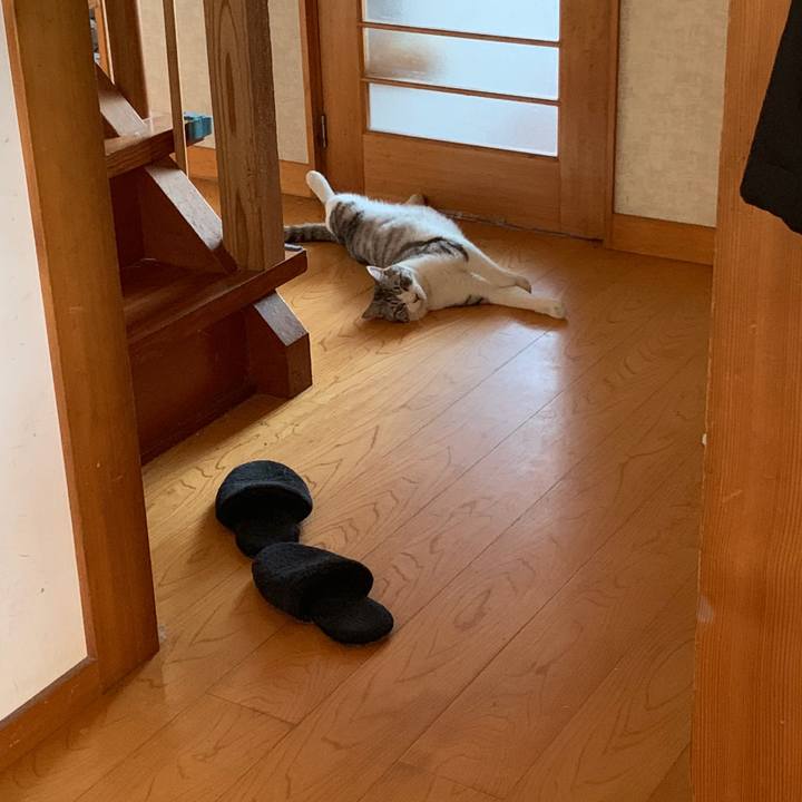 045eac0e 3616 41e6 bb95 03bff36a135b 1575725454441