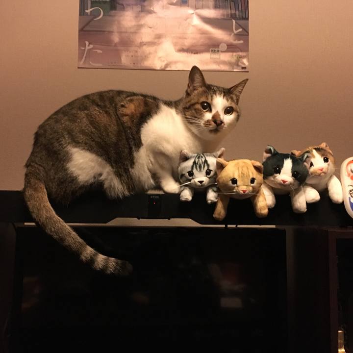 045ed07a 108b 47f3 b563 aa3503d624f2 1512996559661