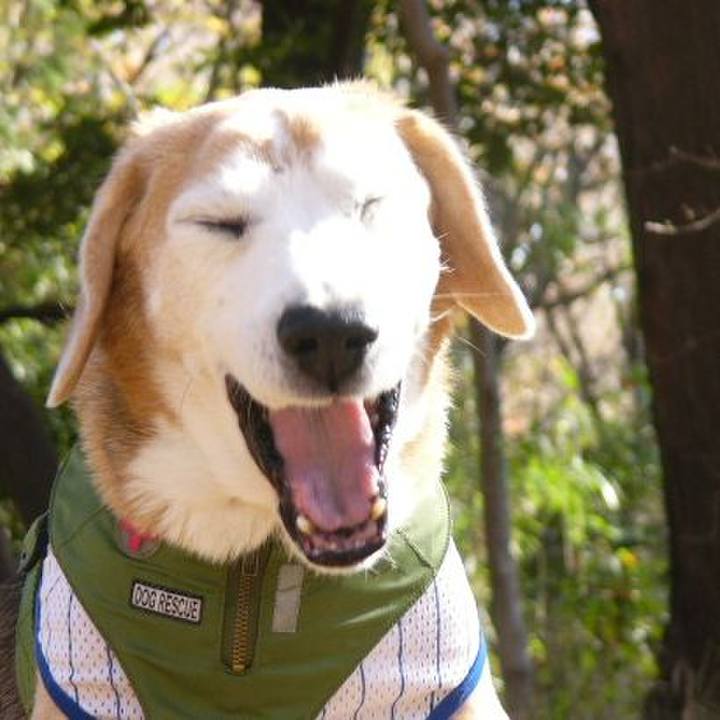 045ee2e3 3861 4f72 804b dfc3e9ef4f18 1674005659155