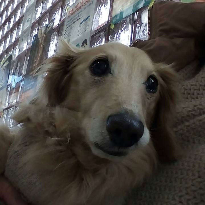 045f0eff 4827 4d36 b2a6 7b2389907931 1554948859348