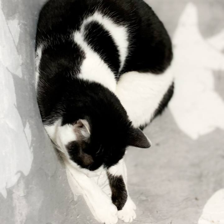 045f15fb 5b86 45ca 9a7b f0f5075af1a6 1586651740062