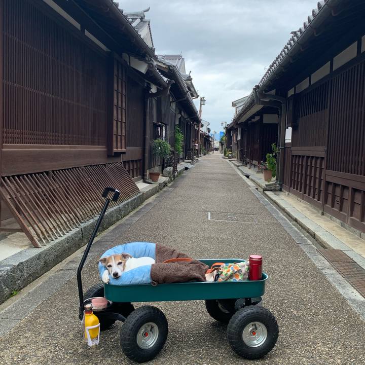 045f2cfd 287b 4b84 b5af be420d17afa2 1632539212755