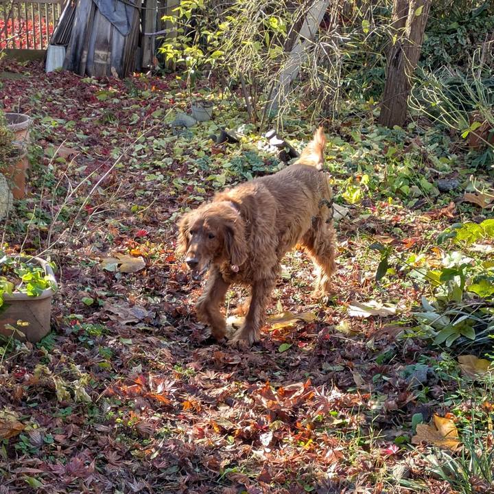 045f3525 bef8 4e53 b658 5f0d6b7ff76c 1764380497644