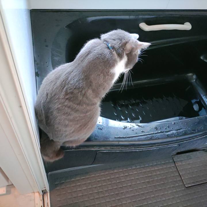 045f5de2 2d16 4260 b0f1 64bd958b381b 1683761242938