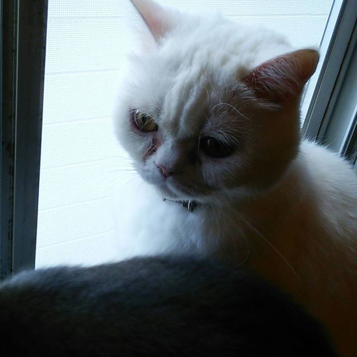 045fb0c5 3851 4fdc 99a9 7b85be1fd426 1558826115796