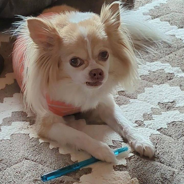 045fb165 2a1d 4c04 8bcf 019376e10e17 1764128090858