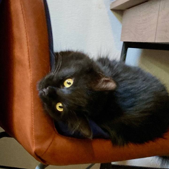 045fc10b 823e 4d19 800f 29eae775d23d 1755754184656