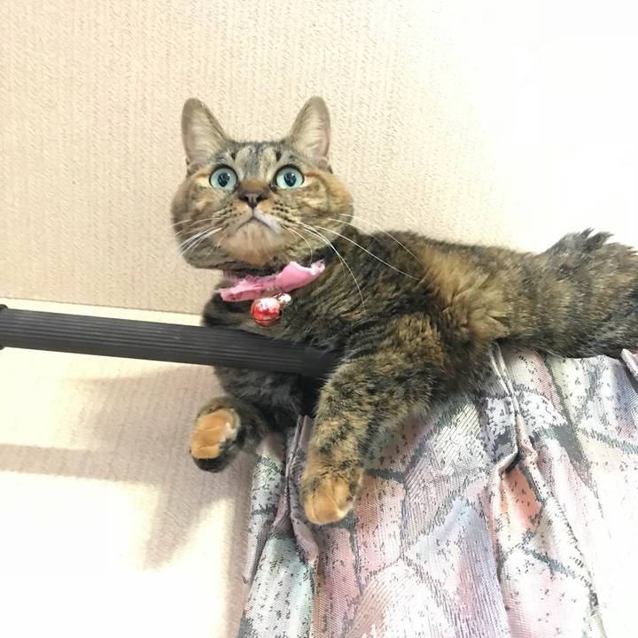 045fc246 e9d9 4c6b 9dde 057513164b60 1511227145626