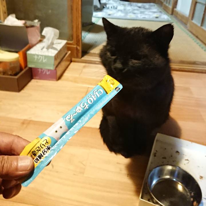 045fc5c4 5b08 4b27 8e01 ee2a4799d5f4 1621429189507