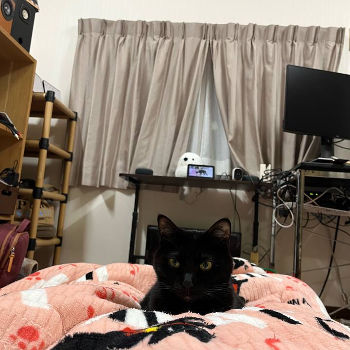 045fd40c 4e1f 489a b0f4 962e42c64cad 1710254934328