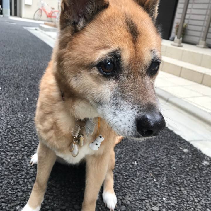 045fd506 45c0 4b63 af82 7b87230671c5 1514683181562