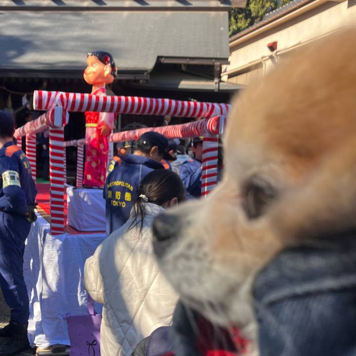 045fd95a 63f6 4395 aaf1 3e39f6a76f3c 1769937169426