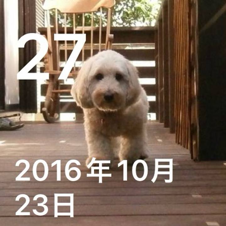 045fde92 7b04 486b a68e 302fb7e90d65 1761618254726