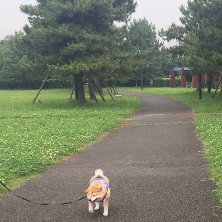 045ff150 f65f 4744 8556 c69bd76ce6ee 1562833860073