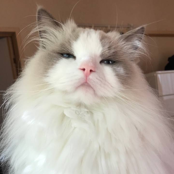 045ff277 1000 49bd b8cc 08d54ce94e44 1583962615220