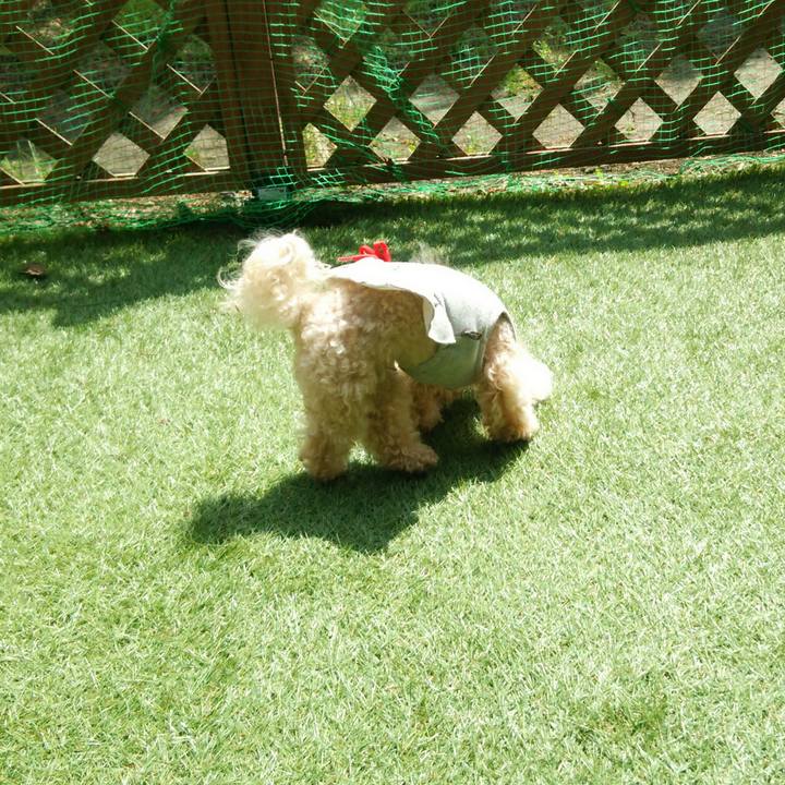 0460067d 7728 4aed 9e3d e3e0a7e6589f 1523954911033