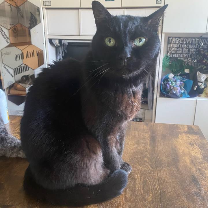 04601ca3 2b75 45fa 8eca 6be7e26dd998 1772323256487