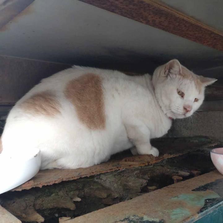 04602ee5 4bd4 4658 ae9d 04abb7b47869 1728263807821