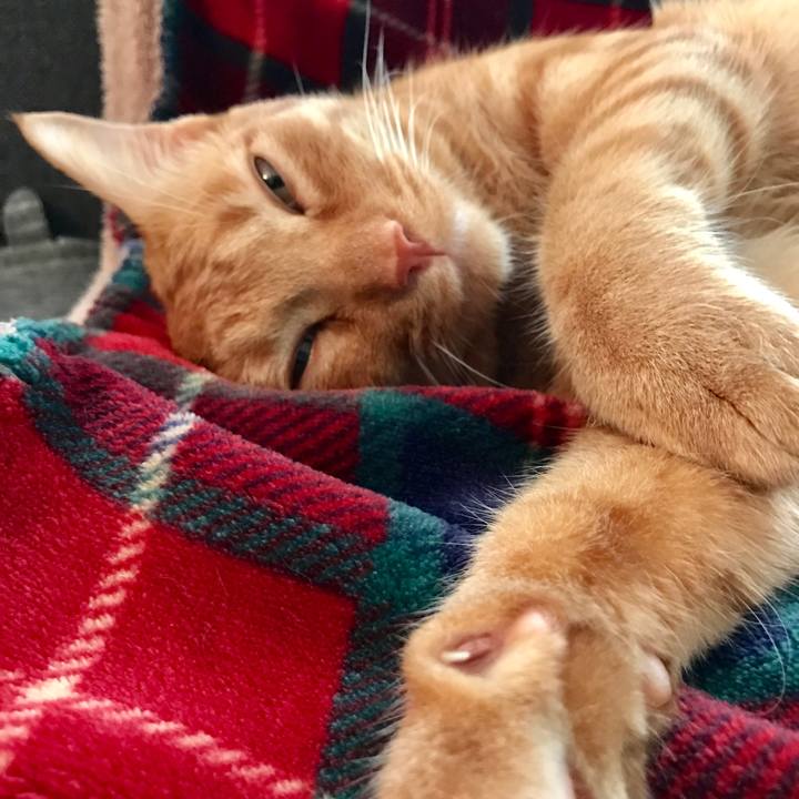 046054ac 2bc9 44ca 8f3f 00003dbcaadc 1602292894233