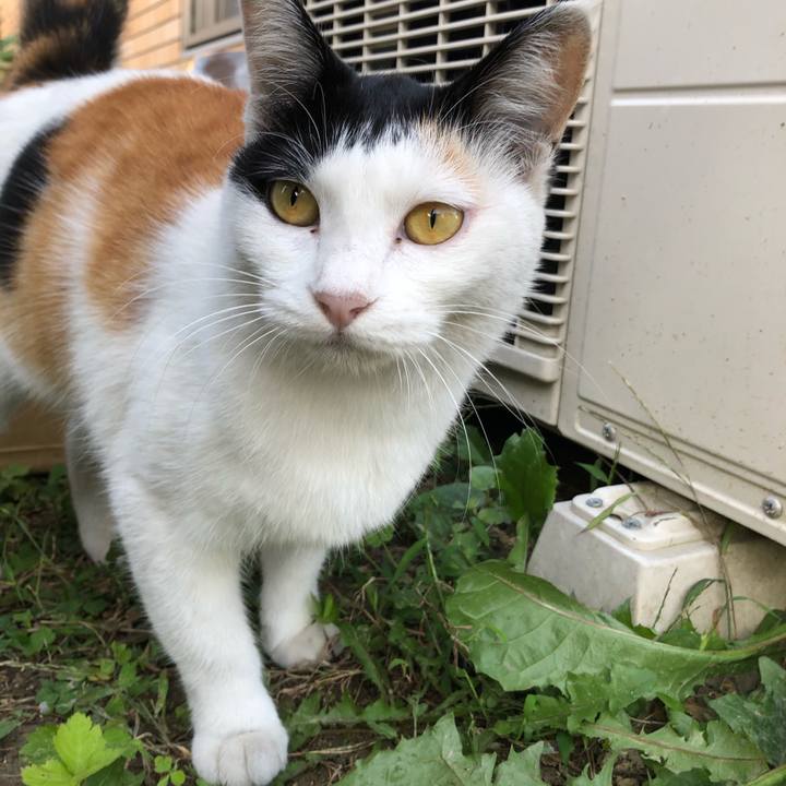 046066b1 4f4b 4659 aeed baccf0179b6d 1601244924416