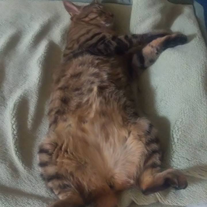 0460b0b6 2acf 4777 b4e7 6b6dd3084aff 1689350130166