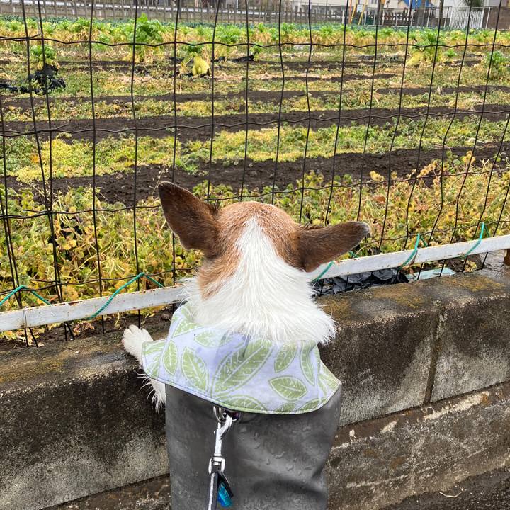 0460ba50 f1fb 4dbf a254 896669cfe715 1709076350216